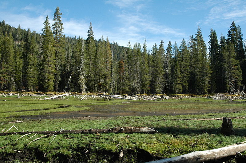 File:Dream Lake revegetation (8287799899).jpg