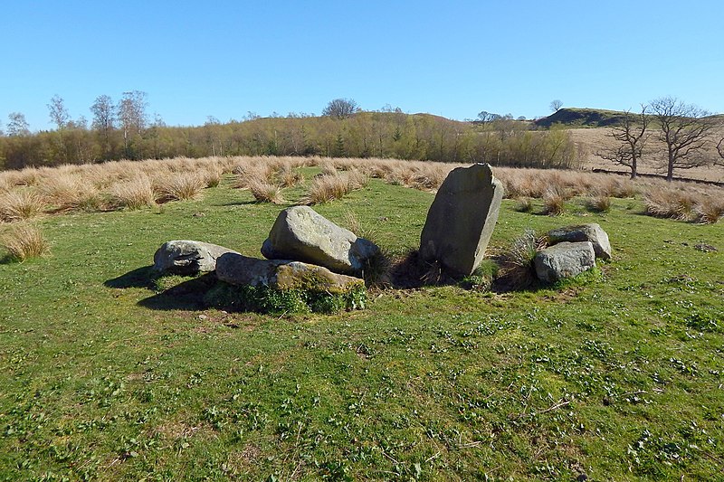 File:Duntreath Standing Stones - geograph.org.uk - 3994709.jpg