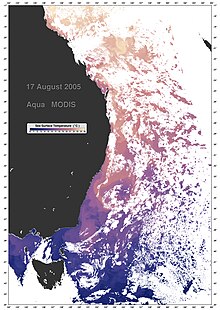 Термальный профиль Восточно-Австралийского течения
