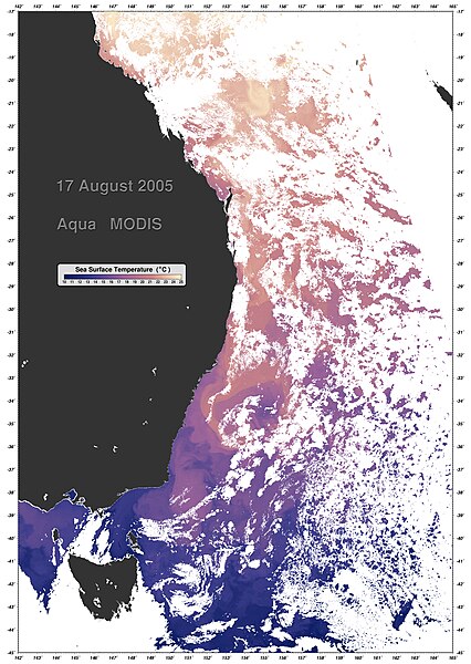 Thermal profile of the East Australian Current