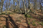 Das gelände rund um die Ebersburg im "Naturpark Hessosche Rhön"