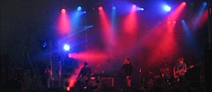 Echo en de Bunnymen T in the Park 2005.jpg