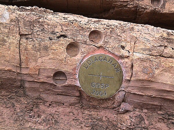 The 'golden spike' marking the Ediacaran GSSP