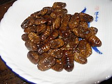 Entomofagia – Wikipédia, a enciclopédia livre