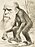 Editorial cartoon depicting Charles Darwin as an ape (1871).jpg