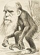 Caricatura de 1871, que pretendía facer chanza de la Teoría de la Evolución