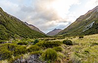 Edwards Valley, Arthur's Pass National Park, New Zealand 09.jpg