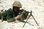 Thumbnail for File:Egyptian marine DF-ST-86-08092.jpg