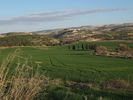 The Valley of Elah, near Adullam