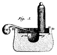 Plate V. Fig. 5.