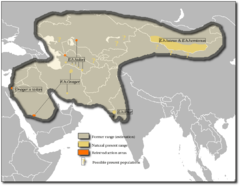 Equus hemionus map.png