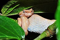 Cahuita National Park, Costa Rica after eating