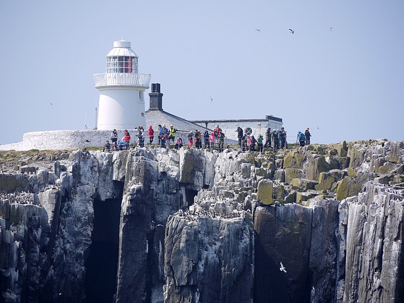 File:Farewell to Inner Farne - geograph.org.uk - 3547492.jpg