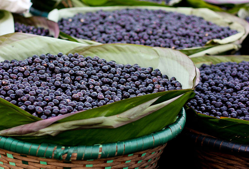 File:Feira do Açaí.jpg