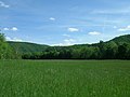 Field in Buckeye, WV - panoramio.jpg