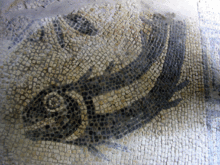 Detail of mosaic floor Fish-Mosaic-Bath-House.gif