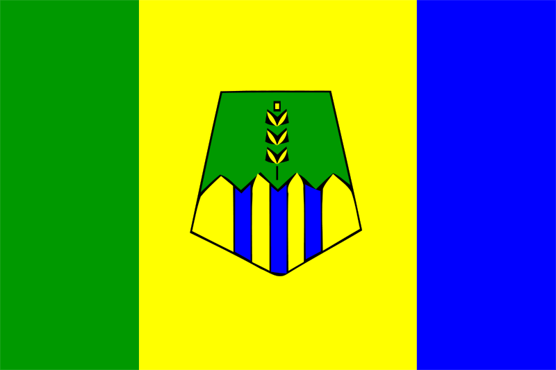 File:Flag of Taounate province.svg