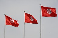 Series of Tunisia flags Flag of Tunisia.jpg