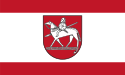 Circondario della Börde – Bandiera