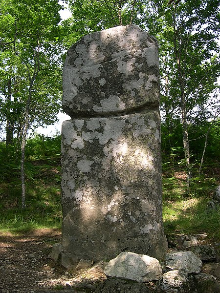 File:Fraisse-sur-Agout menhir Picarel.JPG