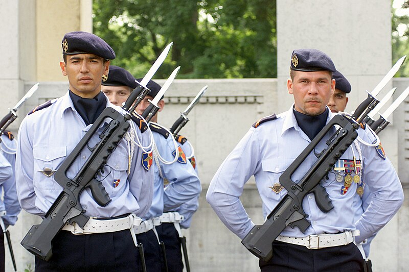 File:French Armed Forces.JPEG