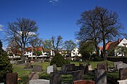 Der Friedhof in Eichenzell mit den acht als Naturdenkmal geschützten Bäumen