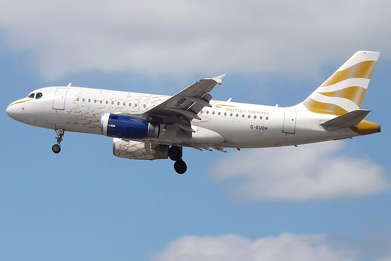 File:G-EUOH A319 British Airways (14787173192).jpg