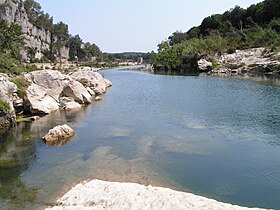 Gardon a Colias.JPG