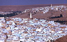 Ghardaïa, vue d'ensemble.jpg