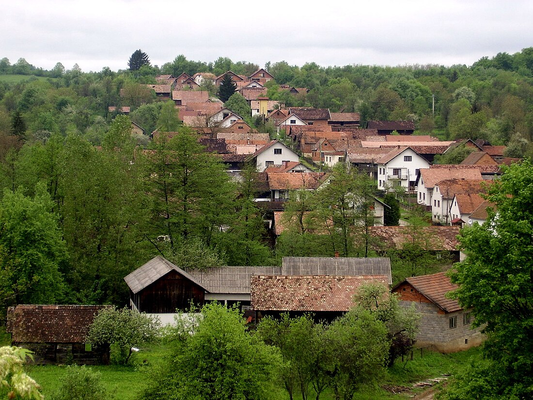 Gornja Velešnja