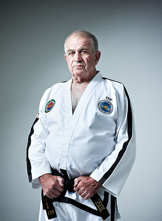 <span class="mw-page-title-main">Robert Howard (martial artist)</span> Irish master of taekwondo