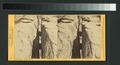 Granitic fissure in Eagle Rock, 1000 feet deep, Yosemite Valley, California (NYPL b11707308-G89F384 027F).tiff