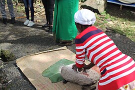 Grinding sorghum on a traditional grinding stone.jpg