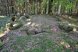 Großsteingrab Panker I 2018 3.jpg