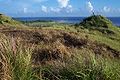 Guam Grassland.jpg