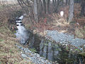 Der Hallerbach nordwestlich von Hövelhof