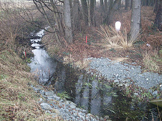 The Hallerbach north-west of Hövelhof