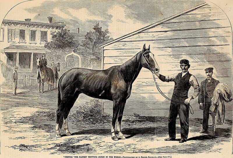 File:Harper's weekly (1865) (14742514046).jpg