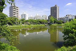 Hayato-ike Pond (2), Hayato-cho Showa Ward Nagoya 2022.jpg