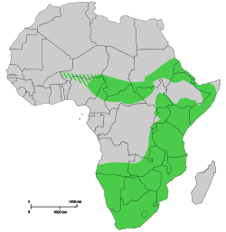 Extensión histórica del rinoceronte negro (c. 1700). Entramado: Posible extensión histórica en África Occidental.