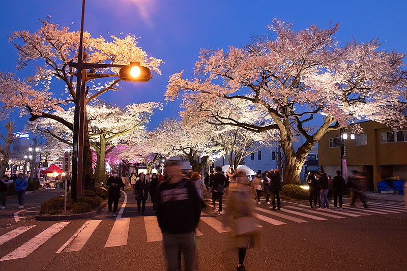 File:Hitachi Sakura Festival, Ibaraki 18.jpg