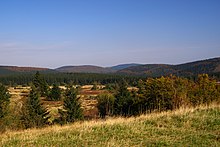 Blick vom Clemensberg nach Norden auf die Hochheide Neuer Hagen (Niedersfelder Hochheide)