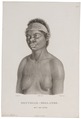 Homo sapiens - Aboriginal, Australië - 1700-1880 - Print - Iconographia Zoologica - Special Collections University of Amsterdam - UBA01 IZ19500023.tif