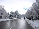 Ifrane сняг.jpg