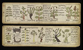 Illustrations of Tibetan materia medica Illustrations of Tibetan materia medica Wellcome L0038345.jpg