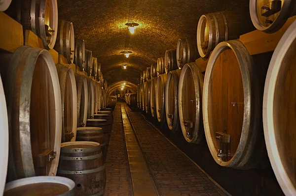 Image: Ilok vinski podrum