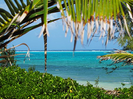 ไฟล์:Inside the Reef Cayman.jpg