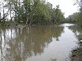 Thumbnail for Iroquois River (Indiana-Illinois)