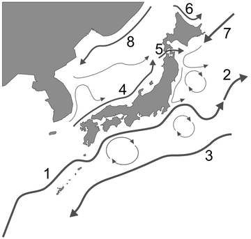 East Korea Warm Current