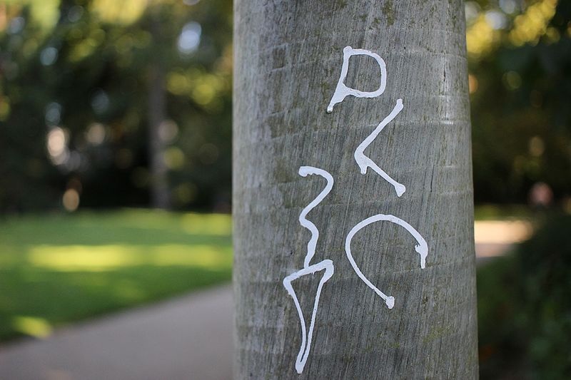 File:Jardin des Prébendes - Graffiti.jpg